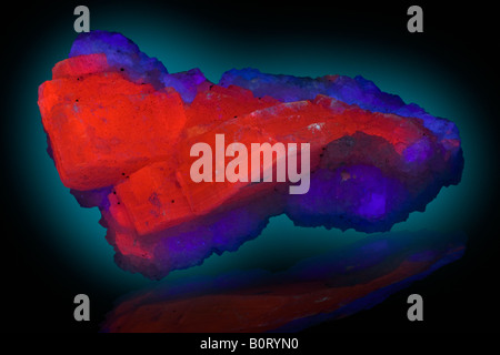 Calcit mit Fluorit gesehen in Ultra Violet Licht Xian Hua Lin Chengzhou Provinz Hunan China fluoreszierend Stockfoto