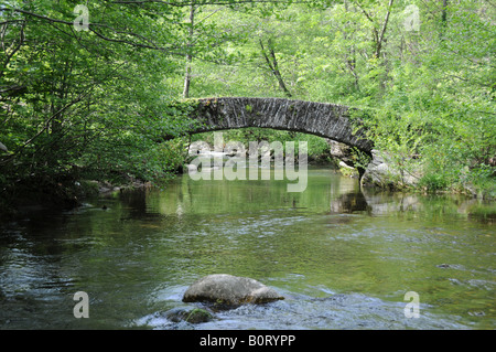 Eine alte Brücke, die Pont Romaine, über den Fluss Homol, in der Nähe von Génolhac Grad, Frankreich. Stockfoto