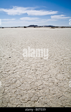 El Mirage Dry Lake Bett, Wüste mit Bergen in der Ferne und einem klaren blauen Himmel. Stockfoto