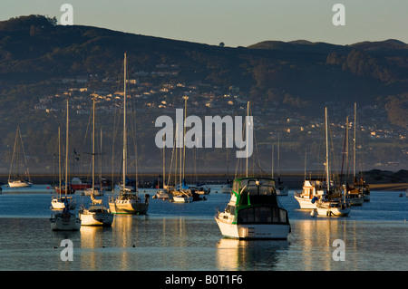 Boote verankert in Morro Bay, Kalifornien Stockfoto