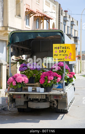 Sagen Sie es mit Blumen, Blumengeschäft am Muttertag Malta  Stockfoto