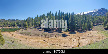 Der Bach führt zu Biber Teiche, Yellowstone-Nationalpark Stockfoto