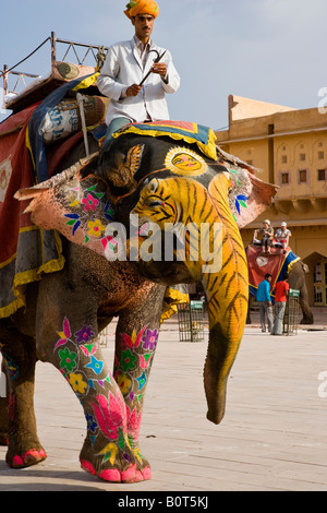 Mahout Fahrten bunt bemalten Elefanten mit Tiger Anstrich und Blumen im Innenhof der Amber Palast Jaipur Rajasthan Indien eingerichtet Stockfoto