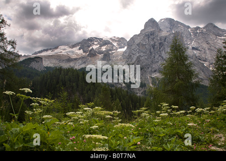 Marmolada massiv vom Fedaia Pass, Canazei, Dolomiten, Italien Stockfoto