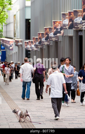 Omotesando Hills shopping-Komplex. Omotesando, Harajuku, Tokio Stockfoto