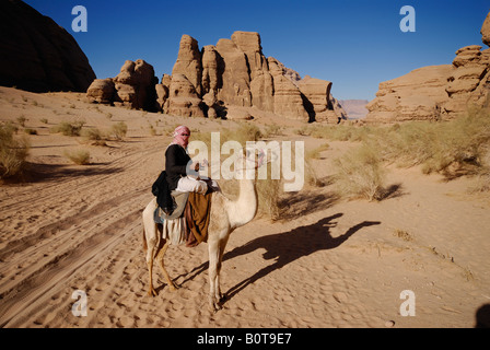 Beduinen auf Kamel in Wüste von Wadi Rum Jordan Arabia Stockfoto