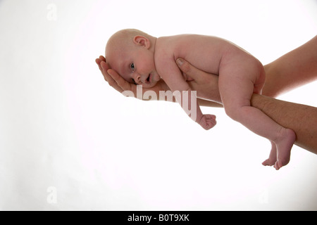 sechs Wochen alten Jungen Stockfoto