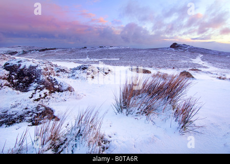 Winterlichen Sonnenaufgang auf Dartmoor National Park mit einer Übernachtung Schneefall in tadellosem Zustand wie die Morgenröte bricht über Heu Tor Stockfoto