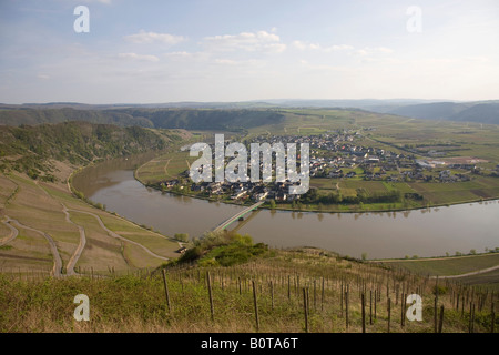 Blick über die Weinberge des Dorfes Piesport an der Mosel in Deutschland Stockfoto