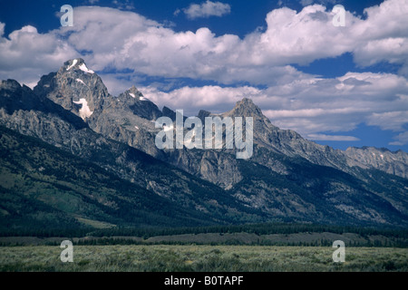 Blauer Himmel und geschwollene weiße Wolken über steil ansteigenden Berge an Grand-Teton-Nationalpark, Wyoming Stockfoto