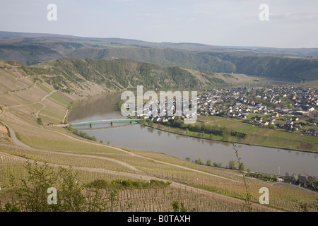 Blick über die Weinberge des Dorfes Piesport an der Mosel in Deutschland Stockfoto