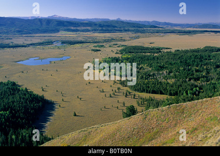 Der Snake River Plateau von Signal Mountain Grand Teton Nat l Pk WYOMING aus gesehen Stockfoto