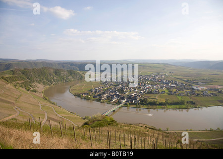 Blick über die Weinberge des Dorfes Piesport an der Mosel in Deutschland Stockfoto