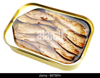 Sprotte Fisch aus der Dose Isoletad auf weißem Hintergrund Stockfoto