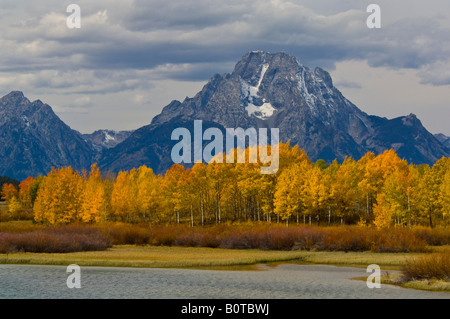 Goldene Aspen Bäume im Herbst unter Mount Moran an Wyoming Oxbow Bend Grand Teton Nationalpark Stockfoto