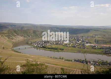 Blick über die Weinberge des Dorfes Piesport an der Mosel in Deutschland Stockfoto