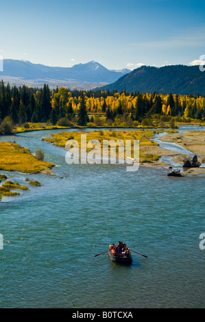 Farben des Herbstes auf Aspen und Cottonwood Bäume entlang der Snake River Grand-Teton-Nationalpark in Wyoming Stockfoto