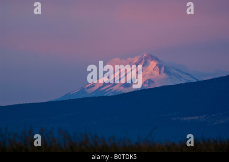 Entfernten Mount Shasta Vulkan bei Sonnenaufgang Cascade Range Siskiyou County in Kalifornien Stockfoto