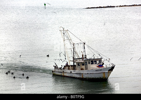Garnelen-Boot in Corpus Christi Bay, Texas. Möwen und Pelikane fliegen auf der Suche nach Nahrung. Stockfoto