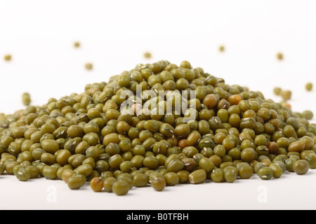 Mung Bohnen Stockfoto