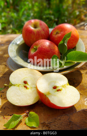 Braeburn Äpfel auf einem Teller auf einem Gartentisch in Die Sonne Stockfoto