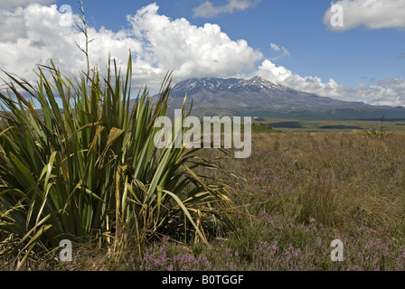 Blick nach Osten zum Mount Ruapehu im Tongariro-Nationalpark, New Zealand Stockfoto