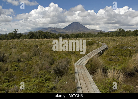 Promenade am Wanderweg in der Nähe von Whakapapa, Tongariro Nationalpark, Neuseeland, mit Mount Ngauruhoe in der Ferne Stockfoto