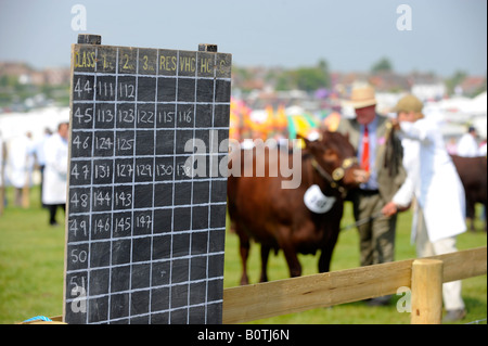 Heathfield & Bezirk Landwirtschaftsausstellung. Menschenmassen strömen in die Grafschaft show im Mai statt. Beurteilung von Rindern im Gange Stockfoto