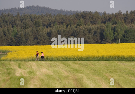 Paare, die in Feldern in der Nähe von Brnik, Slowenien Stockfoto