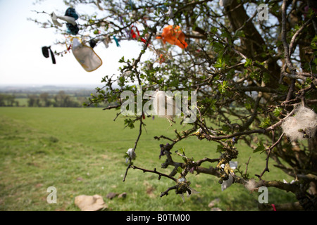 Angebote, die eine Fee Dornenbaum auf dem Hügel von Tara in County Meath Republik Irland befestigt Stockfoto