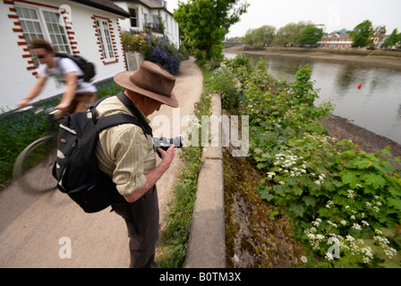 Rasende Radfahrer und Fußgänger über die Themse-Pfad an der Themse an Kew Richmond Surrey Stockfoto