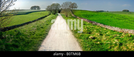 Blick von der hohen Peak Trail Radweg und Fußweg entlang der stillgelegten Bahn Linie Peak District Nationalpark Derbyshire England uk Stockfoto