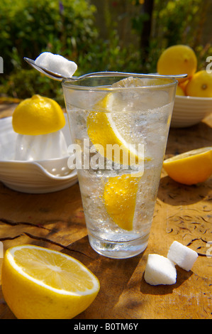 Hausgemachte Limonade bereit zu trinken in einer Schüssel auf Ein Gartentisch aus Holz in der Sonne Stockfoto