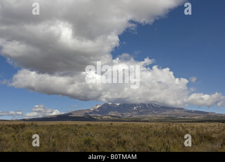 Blick nach Osten zum Mount Ruapehu im Tongariro-Nationalpark, New Zealand Stockfoto