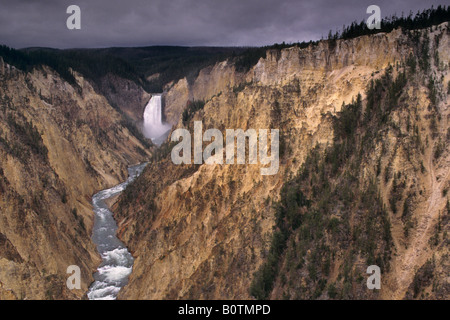 Lower Yellowstone Falls Grand Canyon des Yellowstone River Yellowstone Nationalpark-WYOMING Stockfoto