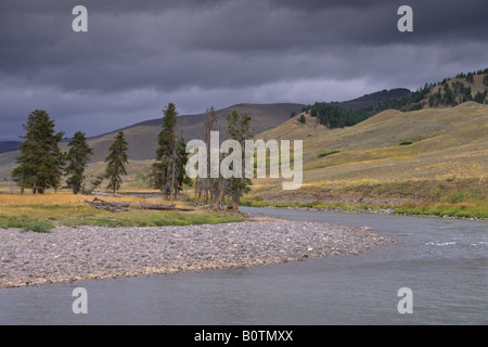 Gewitterwolken über Lamar River Lamar Valley Tower Roosevelt Region Yellowstone Nationalpark, Wyoming Stockfoto