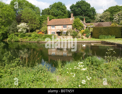 Cottage und weiße Gans Shottermill Haslemere Surrey UK Stockfoto