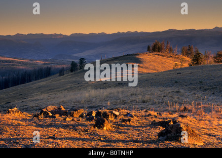 Sonnenaufgang vom Mount Washburn Tower Roosevelt Region Yellowstone Nationalpark, Wyoming Stockfoto