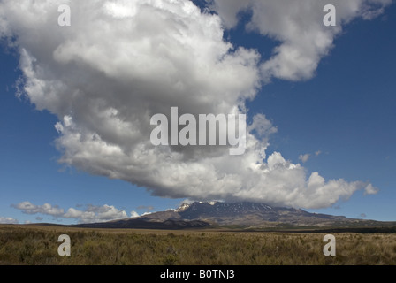 Blick nach Westen von der Rangipo Wüste in Richtung Mount Ruapehu im Tongariro-Nationalpark, New Zealand Stockfoto