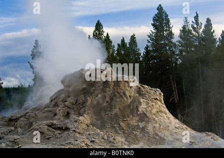Geothermische Dampf steigt von Castle Geyser Vent Upper Geyser Basin Yellowstone-Nationalpark, Wyoming Stockfoto