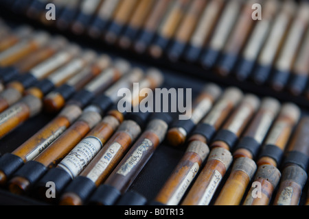 Alte Flaschen von homöopathischen Medikamenten in einer Reihe, Nahaufnahme Stockfoto