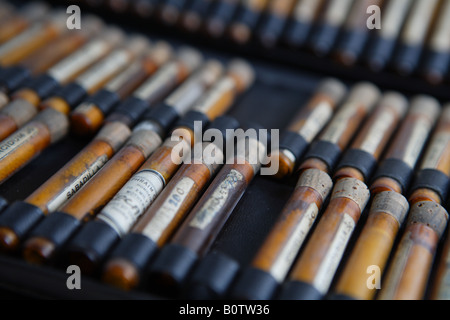 Alte Flaschen von homöopathischen Medikamenten in einer Reihe, Nahaufnahme Stockfoto