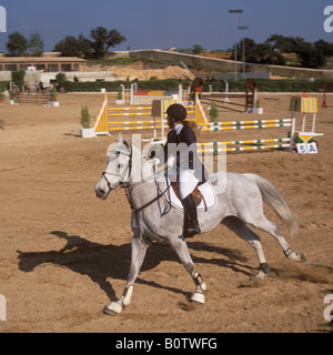 Pferd und Reiter, die Teilnahme an einem springenden Wettbewerb auf dem Son Gual-Reitstall in der Nähe von Palma De Mallorca, Balearen, Spanien. Stockfoto