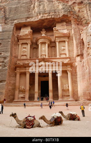 AL KHAZNEH TREASURY nabatäische Stadt Petra Jordan Arabia, Kamele vor Stockfoto