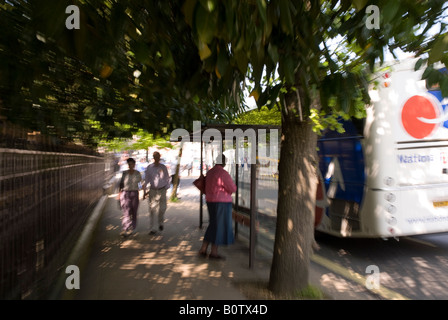 Passagiere, die an eine Bustop im Schatten eines Baumes an einem warmen Tag wartet Stockfoto