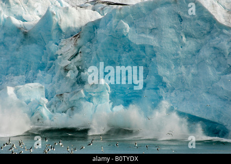 Monaco Gletscher Kalben, Insel Spitzbergen, Svalbard-Archipels, Norwegen Stockfoto