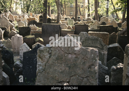 Grabsteine auf dem alten jüdischen Friedhof Stary Zidovsky Hrbitov in Prag Tschechische Republik Stockfoto