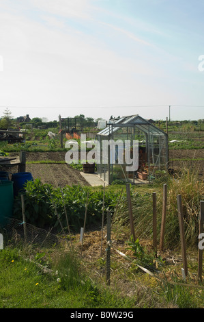 Zuteilungen Pocklington Stockfoto