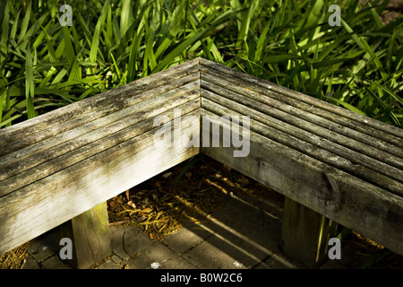 Holzbank im öffentlichen Park Victoria Esplanade, Palmerston North, Neuseeland Stockfoto