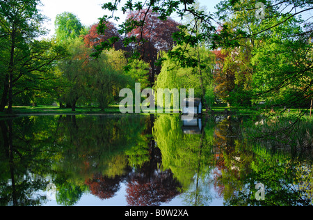 Holzente Haus spiegelt sich im See im Spreewald Wald bei Lübbenau Deutschland Stockfoto